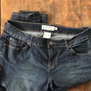 Torrid 14 SHORT Jeans